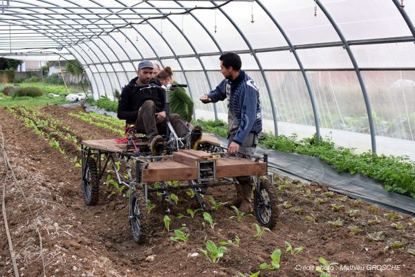 Test du concept du bicitractor avec quelques maraîchers.